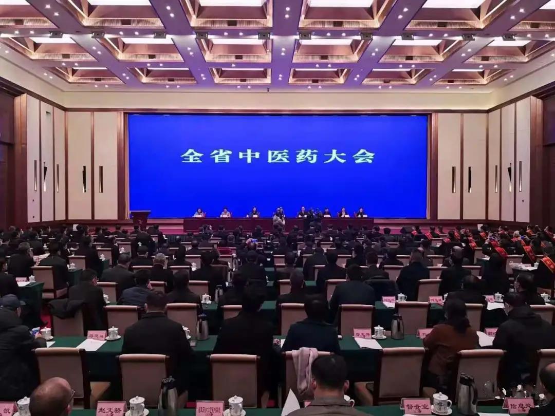 见证盛典，公司应邀参加 湖南省中医药大会